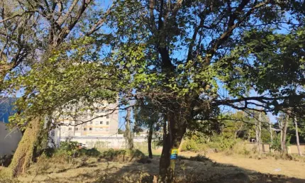 Casa à venda no Jardim Colonial, Bauru 