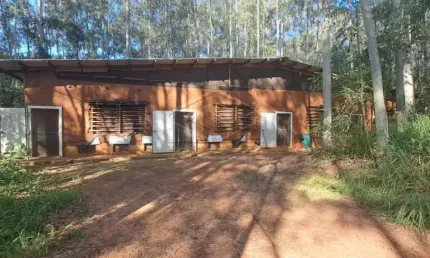 Área rural com 6 alqueires - Estância - Cachoeirinha