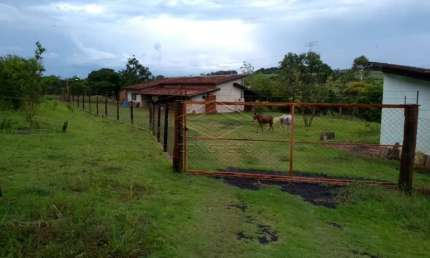 Fazenda à venda na Zona Rural, Pederneiras 