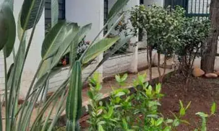 Casa com 4 quartos para alugar no Centro, Jaú 