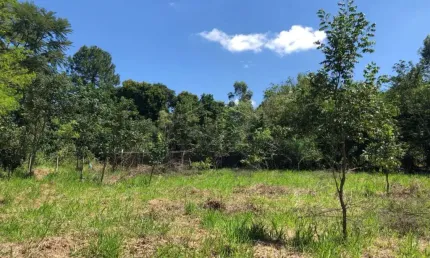 Ótimo terreno para área de lazer - próximo da unip!
