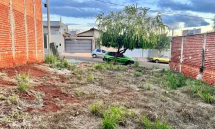 Terreno pronto para construir, muro em todos os lados.