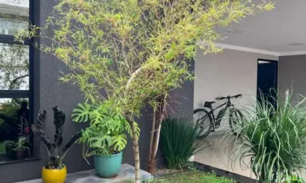Casa em condomínio fechado com 2 quartos à venda no Jardim Europa, Jaú 