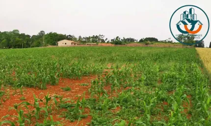 Terreno à venda na Rua Francisco Galvão, Chapada, Ponta Grossa