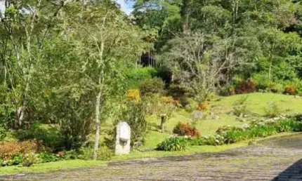 Chácara com 7 dormitórios à venda, 8000 m² por R$ 1.950.000 - Mury - Nova Friburgo/RJ