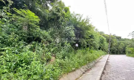 Terreno à venda na Estrada Rozália Paulina Ferreira, Pântano do Sul, Florianópolis, 970 m2 por R$ 690.000