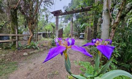 Fazenda à venda na Geral Vargem Do Braço, 100, Braço São João, Santo Amaro da Imperatriz, 220 m2 por R$ 450.000