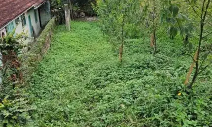 TERRENO no SAGUAÇÚ com 0 quartos para VENDA, 560 m²