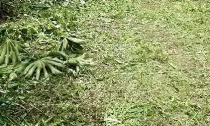 TERRENO no RIO BONITO com 0 quartos para VENDA, 30000 m²