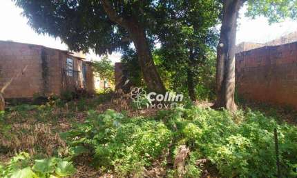 Terreno, 888 m² - venda por R$ 230.000,00 ou aluguel por R$ 1.500,00/mês - Nossa Senhora da Abadia - Uberaba/MG