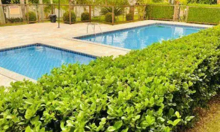 Apartamento com 2 dormitórios à venda, 49 m² por r$ 250.000,00 - mercês - uberaba/mg
