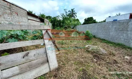 Terreno plano, murado e aterrado no Morro do Algodão em Caraguatatuba/SP