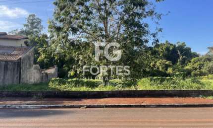 Terreno comercial para alugar na Avenida Tereza Palmeira Gallon, Jardim Itaú, Ribeirão Preto