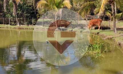 Chácara / sítio com 3 quartos à venda na Estrada do Rio Fundo, 500, Caxito, Maricá, 5450 m2 por R$ 1.490.000