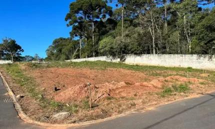 Terreno em condomínio fechado à venda na rua flamingos, 232, gralha azul, fazenda rio grande, 120 m2 por r$ 198.000