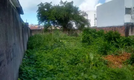 Terreno à venda na Rua Álvaro da Boa Vista Maia, Jardim Atlântico, Olinda