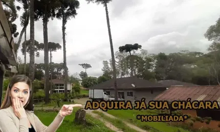 Chácara / sítio com 6 quartos à venda na Jorge Taborda, Roseira, Colombo