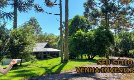 Chácara / sítio à venda na Rua Bocaiuva Do Sul, Campo Alto, Tijucas do Sul