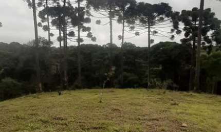 Chácara / sítio à venda no Estiva, Bocaiúva do Sul 