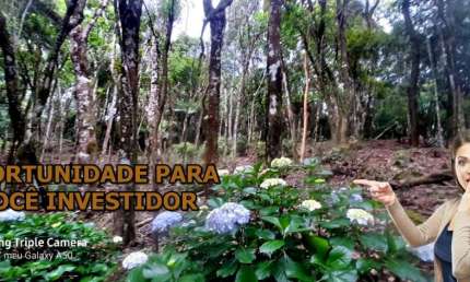 Terreno à venda na Rua Antonio Bruno, Jardim Santo Antônio, Bocaiúva do Sul