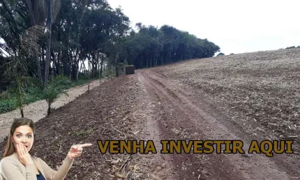 Chácara / sítio à venda na Rua dos Imigrantes, Colônia Balbino Cunha, Campo Largo