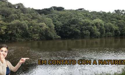 Chácara / sítio à venda na Zona Rural, Bocaiúva do Sul 