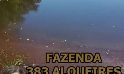 Fazenda à venda na Rua Centenário, Centro, Campo Largo