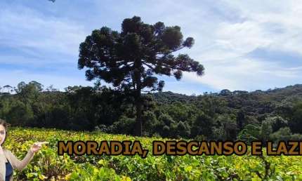 Chácara / sítio à venda na Estrada Do Felpudo, Guabiroba, Campo Largo