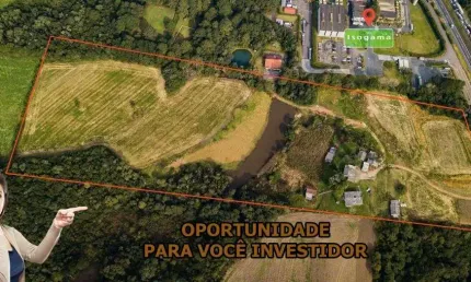 Terreno à venda na Rodovia BR-376, Ouro Fino, São José dos Pinhais