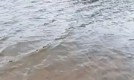 Chácara / sítio à venda na Rua Benjamim Constant Teixeira, Centro, Bocaiúva do Sul