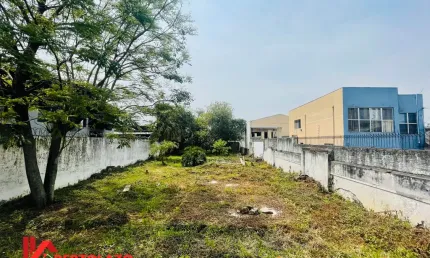 Terreno à venda na Rua Bom Jesus de Iguape, 819, Hauer, Curitiba