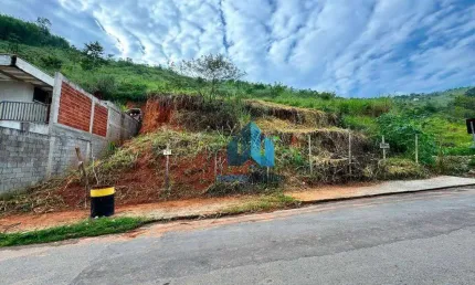 Terreno à venda, 400 m² por R$ 100.000,00 - Monte Castelo - Juiz de Fora/MG
