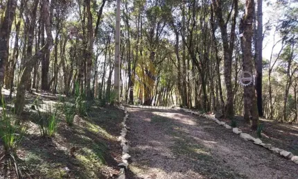 Chácara para Venda em Agudos do Sul, Centro, 8 dormitórios, 3 banheiros, 3 vagas