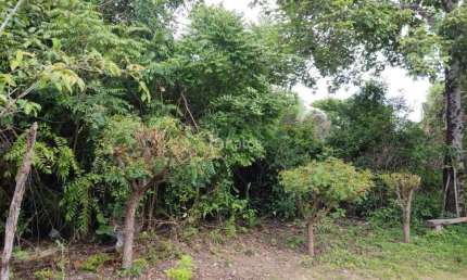 Lote/Terreno à venda, no bairro Socopo, Teresina/PI