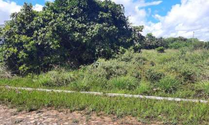 Lote/Terreno à venda, no bairro JOAO XXIII, Parnaiba/PI
