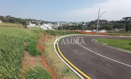 LOTES LOCALIZADOS NO BAIRRO CADORIN, REGIÃO NOBRE DE PATO BRANCO - PR
