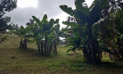 Chácara com 3 dormitórios à venda, 6300 m² por R$ 650.000,00 - Mombaça - Itapecerica da Serra/SP