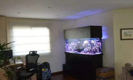 Apartamento à venda, 3 quartos, 3 vagas, jardim vila mariana - são paulo/sp
