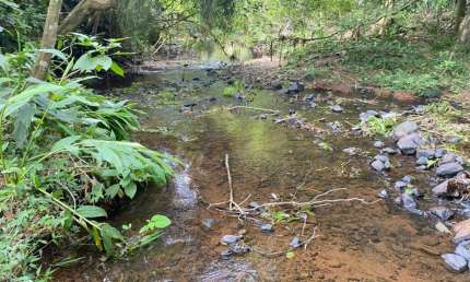 Chácara / sítio com 3 quartos à venda na estrada do espigão, Sanga Funda, Terra de Areia por R$ 750.000
