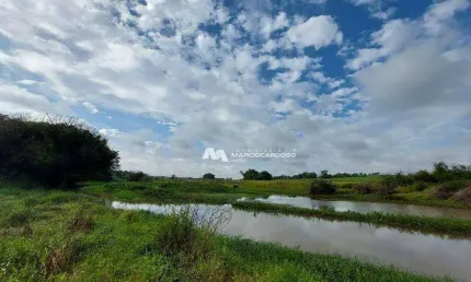 Sítio com 1 dormitório à venda, 103333 m² por R$ 2.100.000,00 - Rural - Olímpia/SP