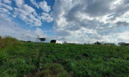 Sítio com 1 dormitório à venda, 81300 m² por R$ 2.625.000,00 - Rural - Olímpia/SP