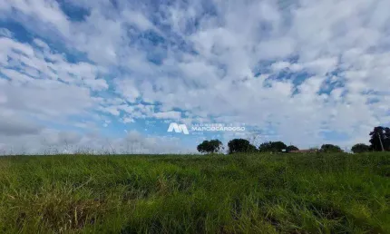 Sítio com 5 dormitórios à venda, 2 m² por R$ 3.000.000,00 - Rural - Olímpia/SP
