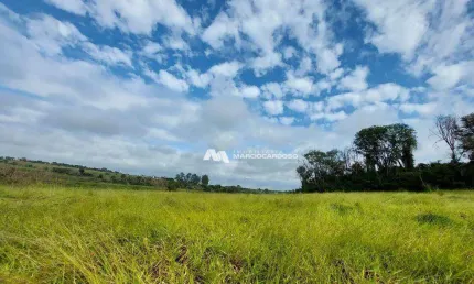 Sítio com 1 dormitório à venda, 101156 m² por R$ 3.500.000,00 - Rural - Olímpia/SP