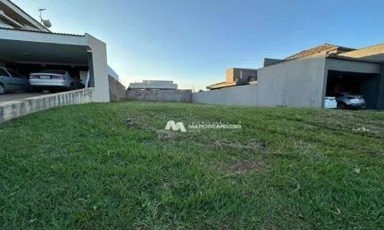 Terreno à venda, 417 m² por R$ 330.000,00 - Buona Vita - São José do Rio Preto/SP
