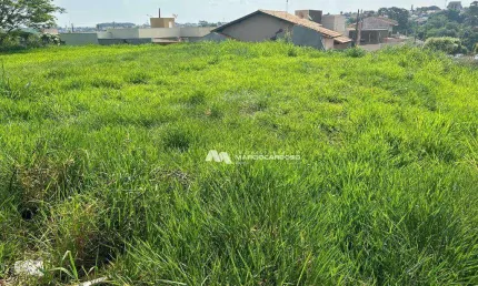 Terreno à venda, 291 m² por R$ 100.000,00 - Residencial Menezes II - Bady Bassitt/SP