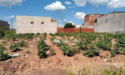 Terreno à venda, 200 m² por R$ 60.000,00 - Portal Do Cedro - Cedral/SP