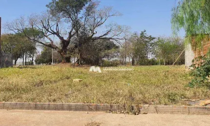 Terreno à venda, 200 m² por R$ 100.000,00 - Parque Vila Nobre - São José do Rio Preto/SP