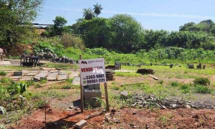 Terreno à venda, 4287 m² por R$ 800.000,00 - Brejo Alegre - São José do Rio Preto/SP