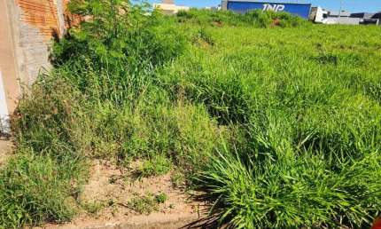 Terreno à venda, 200 m² por R$ 80.000,00 - Parque Maria Serantes - São José do Rio Preto/SP