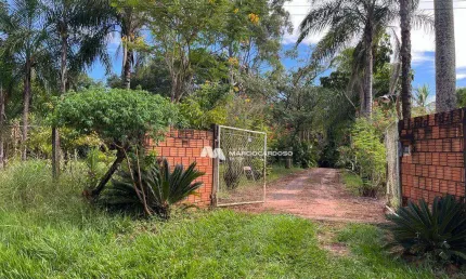 Chácara com 3 dormitórios à venda, 5000 m² por R$ 700.000,00 - Terra de São Lucas (Zona Rural) - São José do Rio Preto/SP